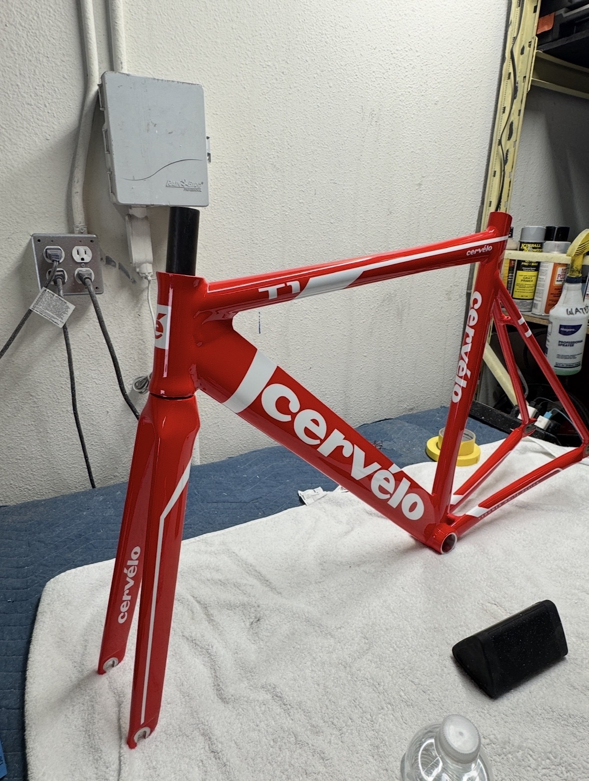 Custom paint job 11
