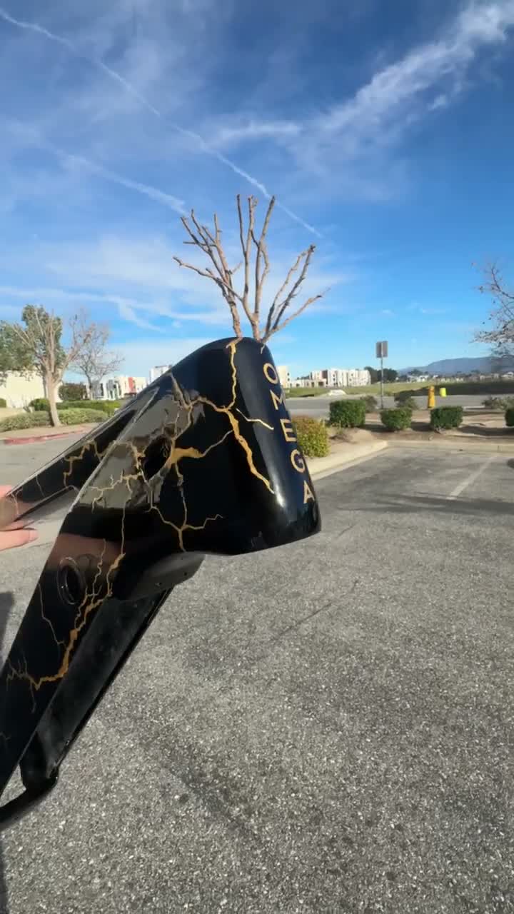 Video — custom paint process